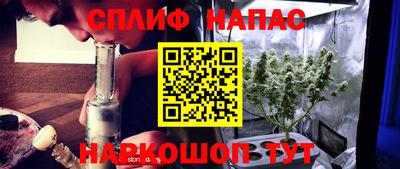 прущие грибы Новокубанск