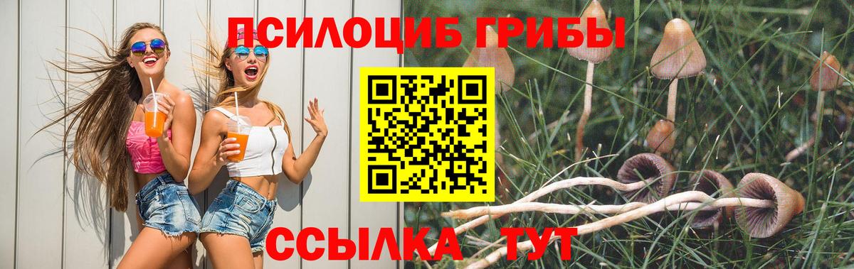 Псилоцибиновые грибы ЛСД  как найти   Рубцовск  Вход с VPN 
