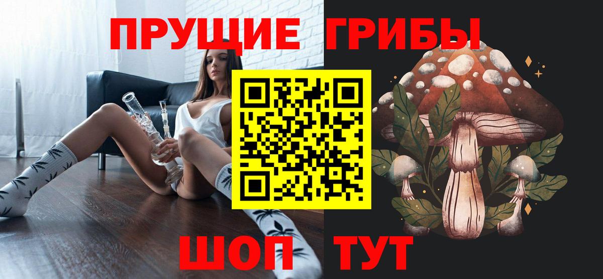 Псилоцибиновые грибы GOLDEN TEACHER Рубцовск